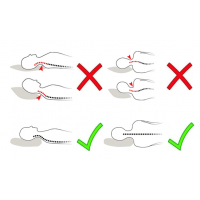 Cách chọn gối ngủ cho người đau cổ